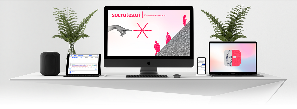 Socrates.AI — work sample